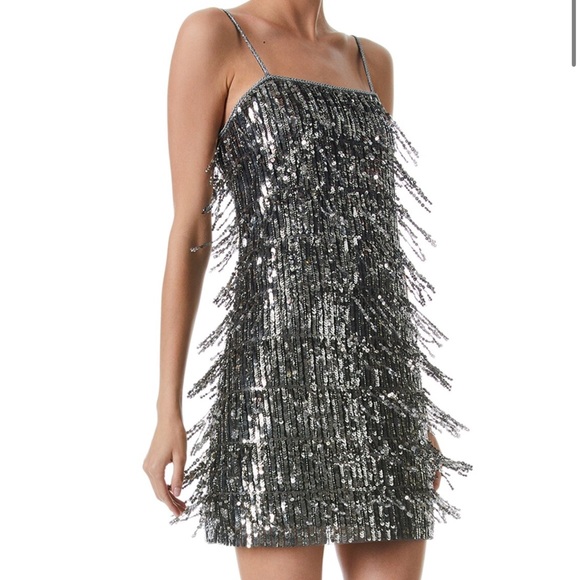 Alice + Olivia Dresses & Skirts - NWT Alice + Olivia Chicago Gunmetal Silver Sequin Fringe Flapper Mini Dress Sz 6